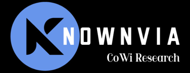 Insight CoWi Hub